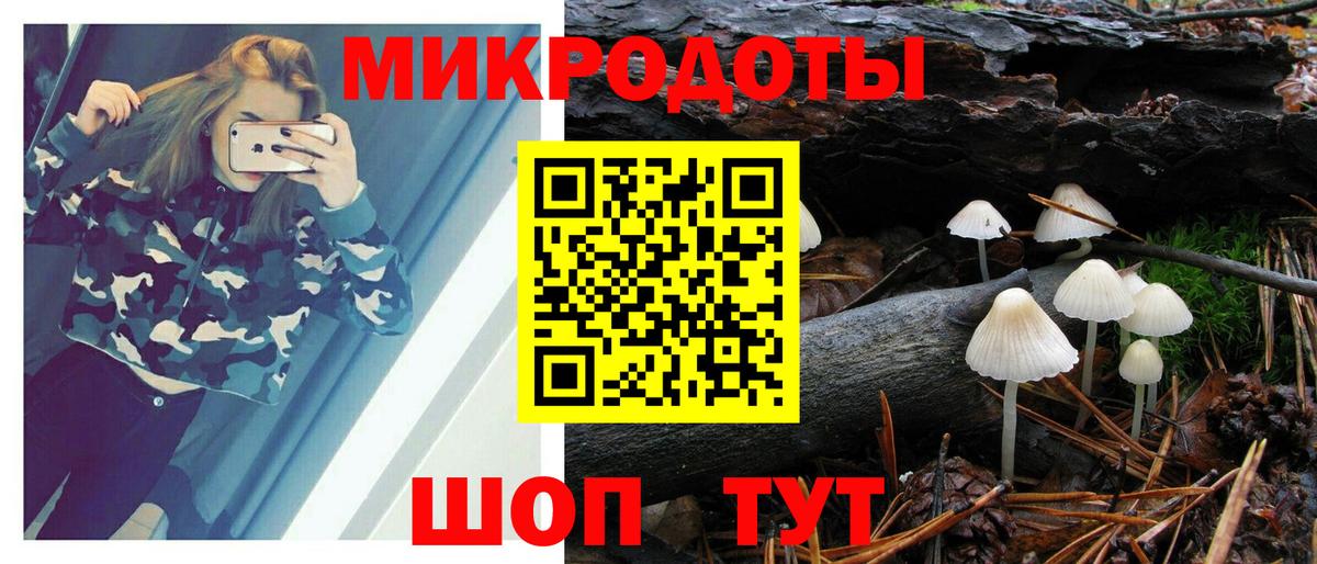 Псилоцибиновые грибы GOLDEN TEACHER  Вход с VPN  Кропоткин  Галлюциногенные грибы мухоморы 