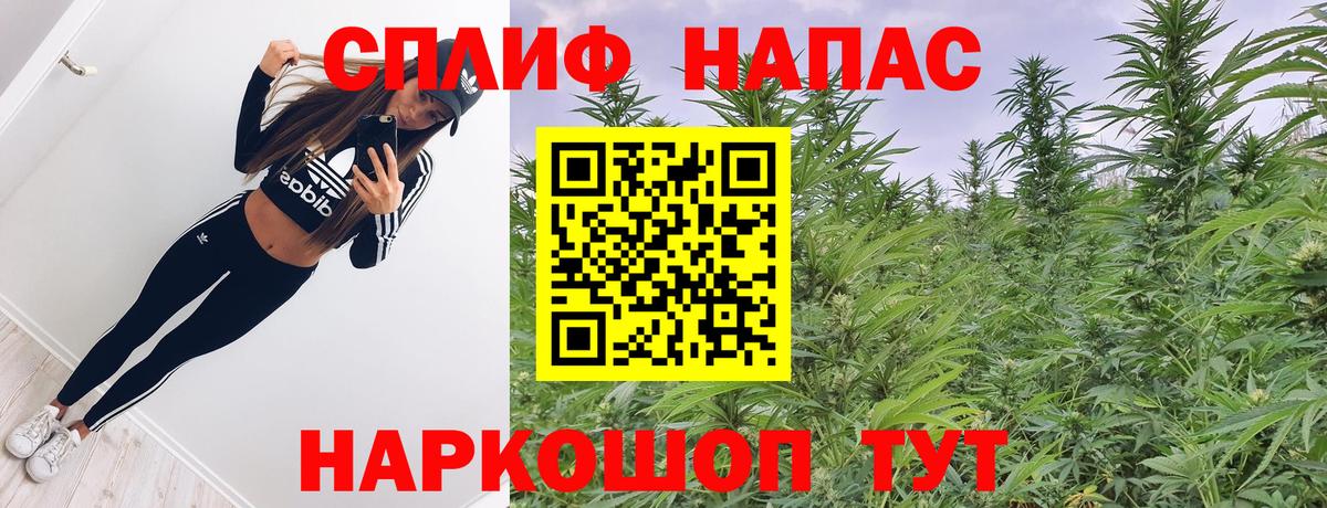 Бошки марихуана VHQ Кропоткин